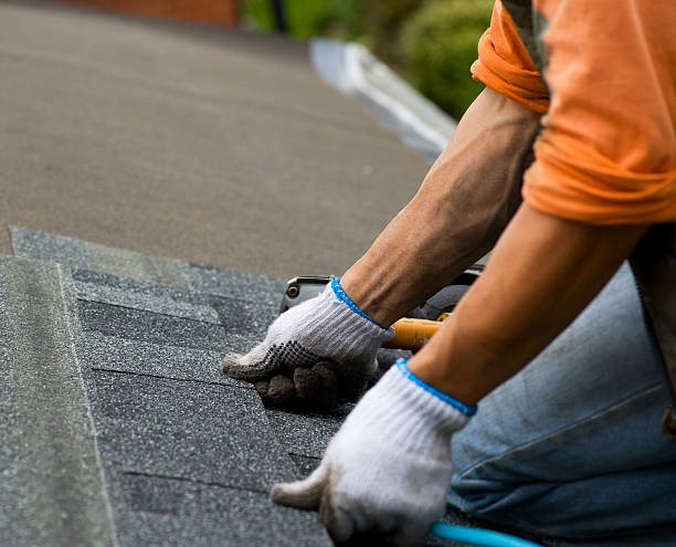 Best Roof Repair Services  in Kearney Park, MS