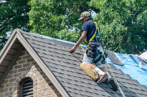 Best New Roof Installation  in Kearney Park, MS